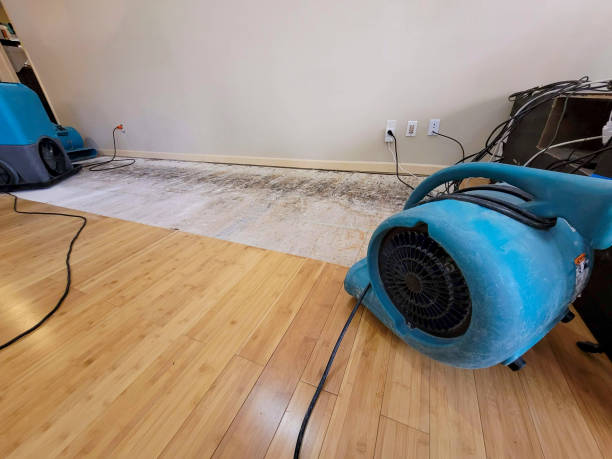 Professional Water Removal technician working in Aquasco, MD